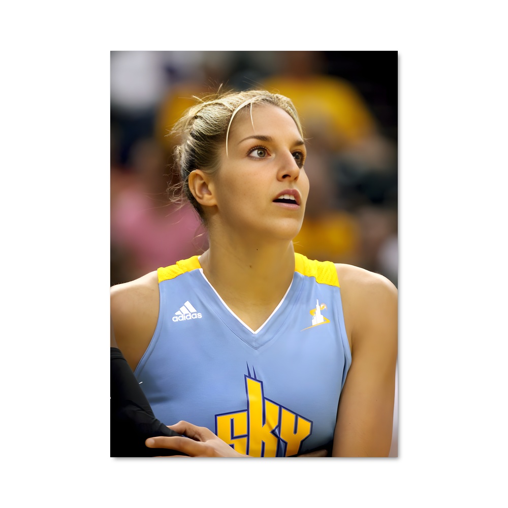 Poster Elena delle